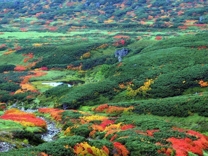 Asahidake Yumoto Yukomanso Higashikawa Exteriér fotografie