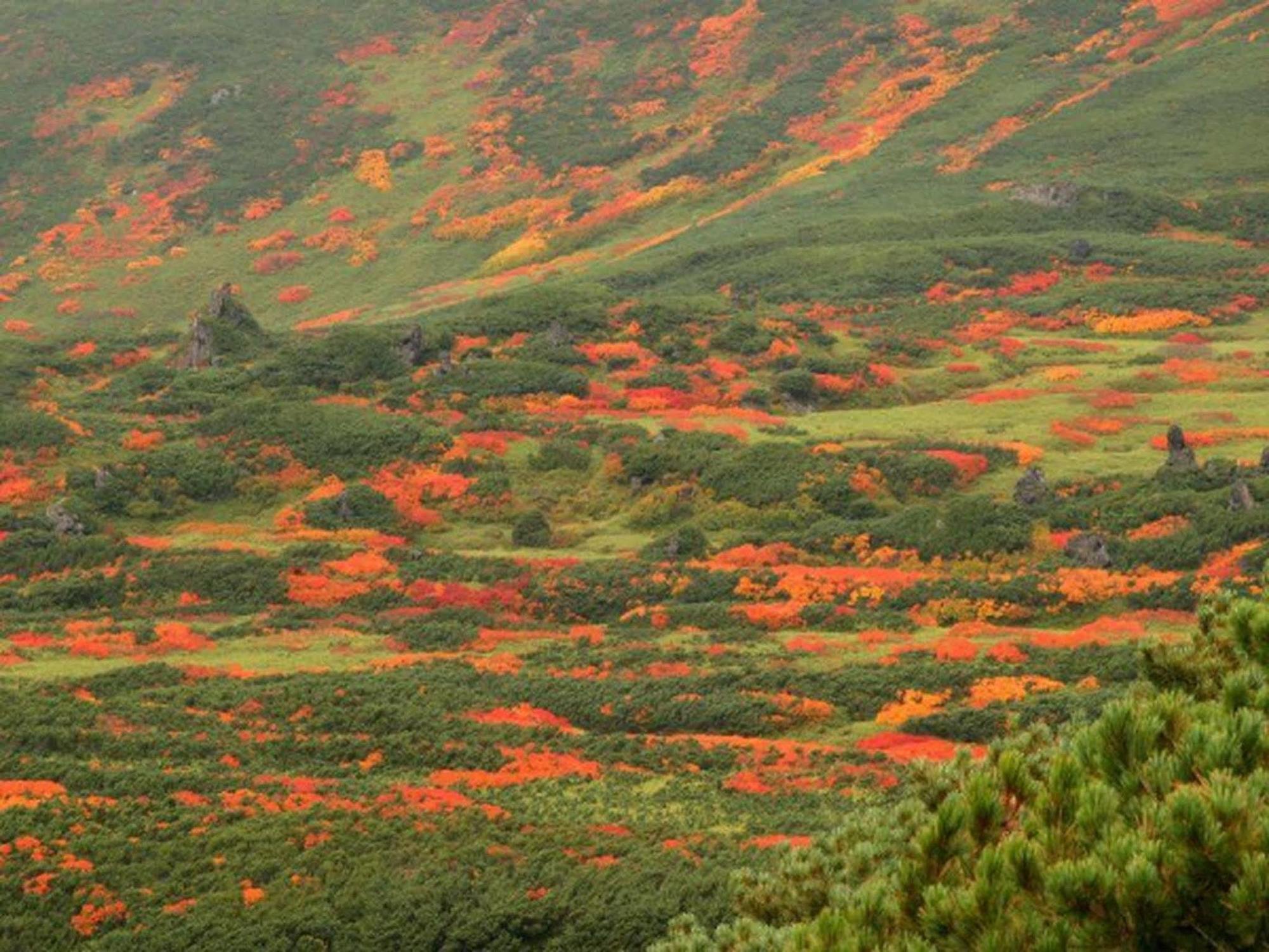 Asahidake Yumoto Yukomanso Higashikawa Exteriér fotografie